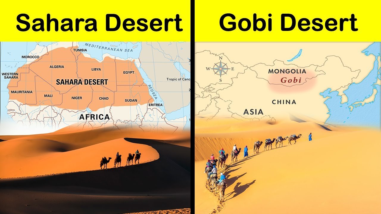Key Differences: How Is The Gobi Desert Different From The Sahara Desert?