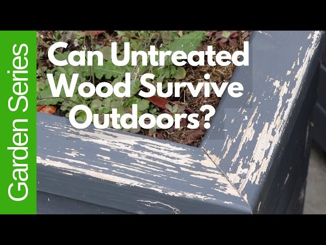 How Long Does Untreated Wood Last Outside: Key Factors & Tips